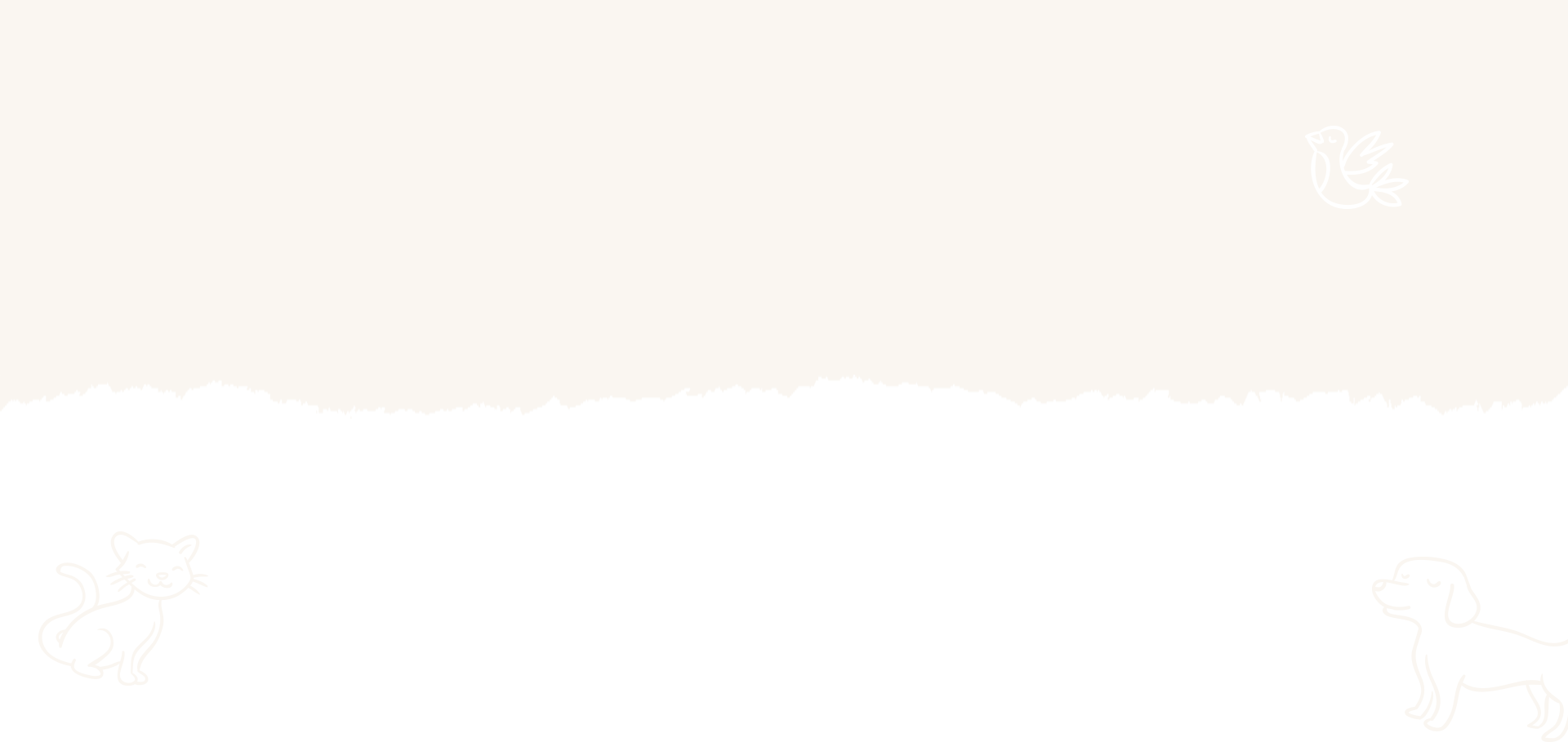 3 Signs It’s Time for the First Pets Dental Cleaning